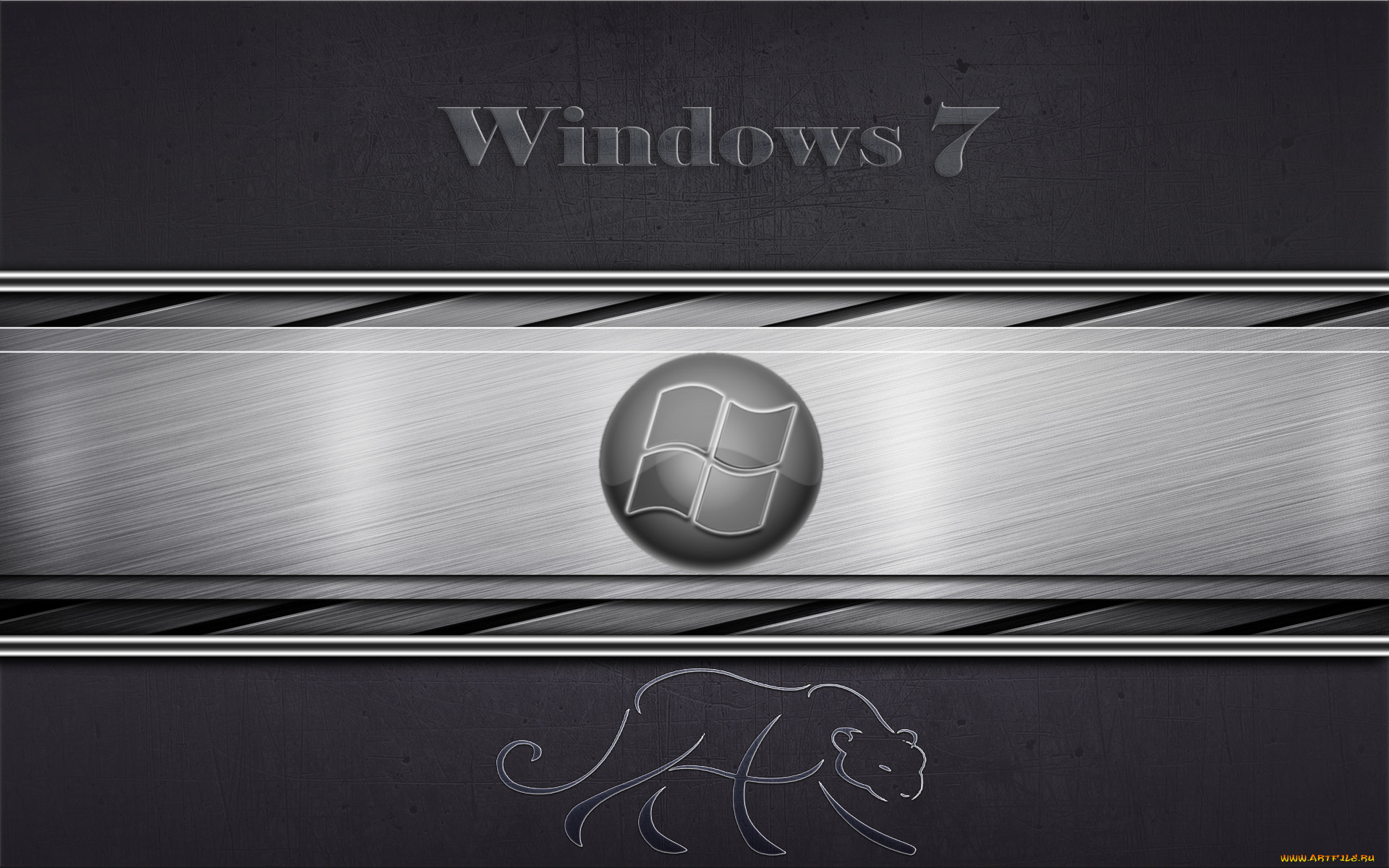 , windows, vienna, , 